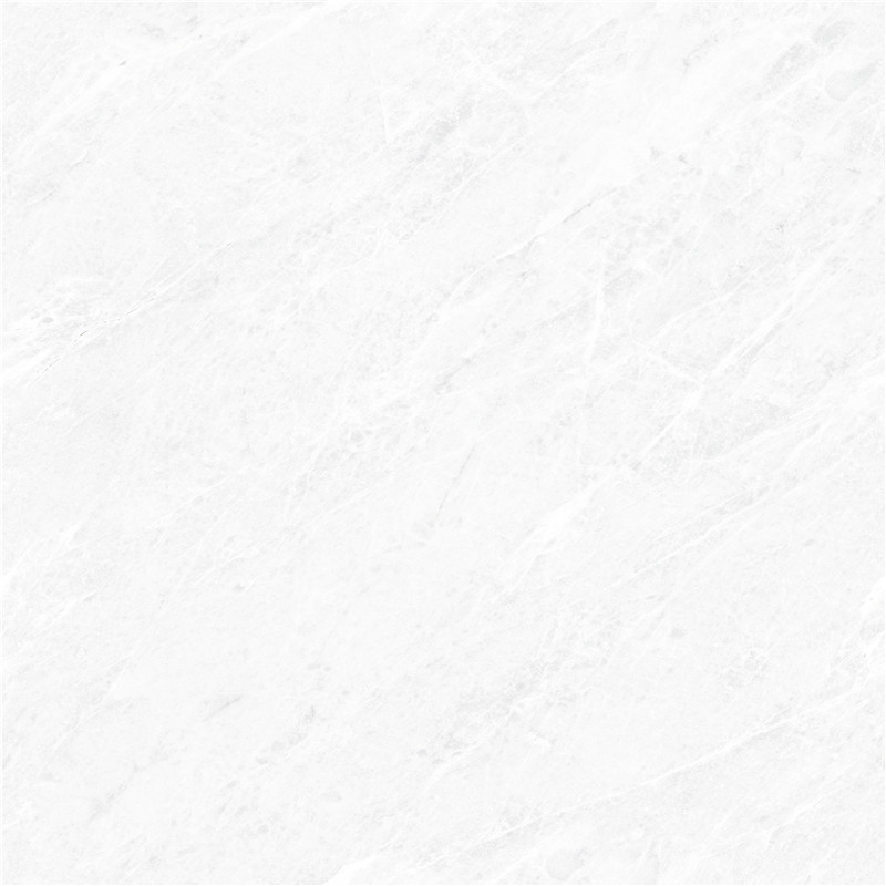 J-666W8305-香雪梅