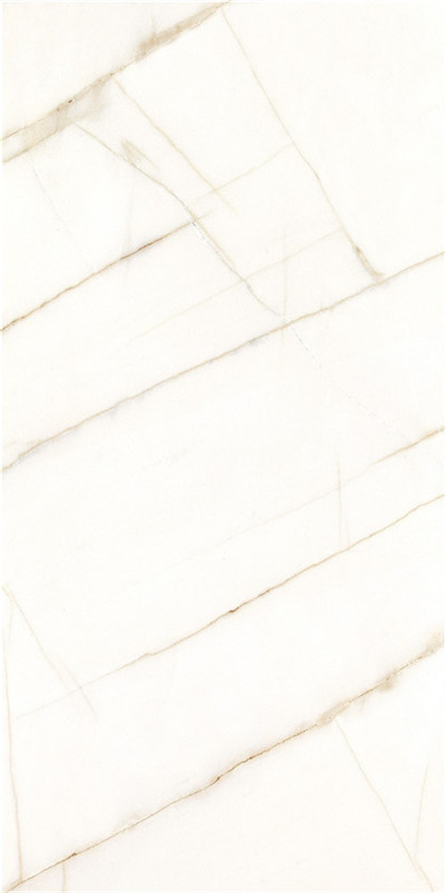 666W126602希腊蜘蛛白