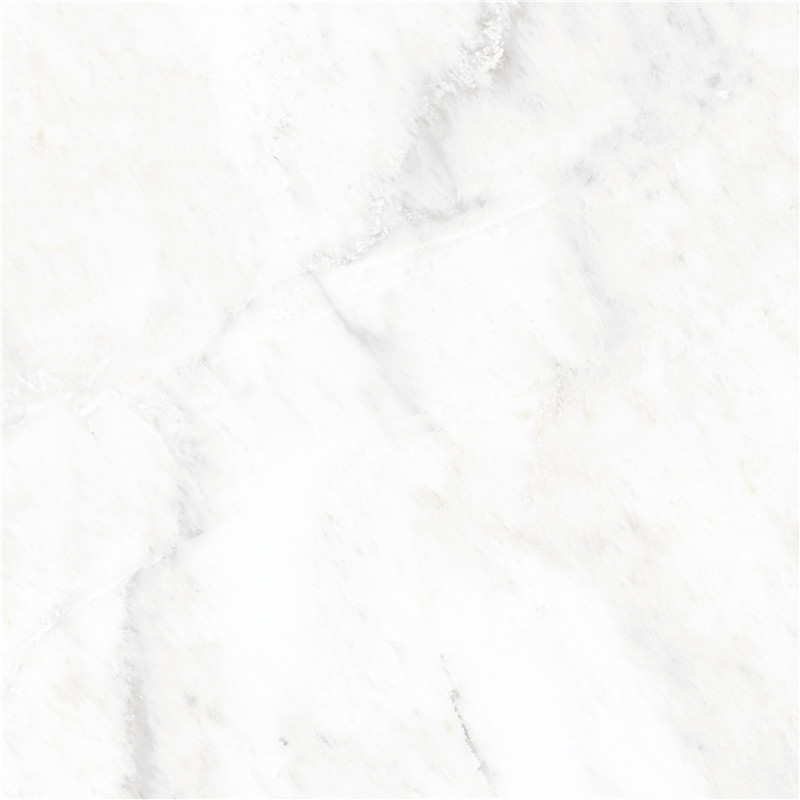 J-666W8310-东方白