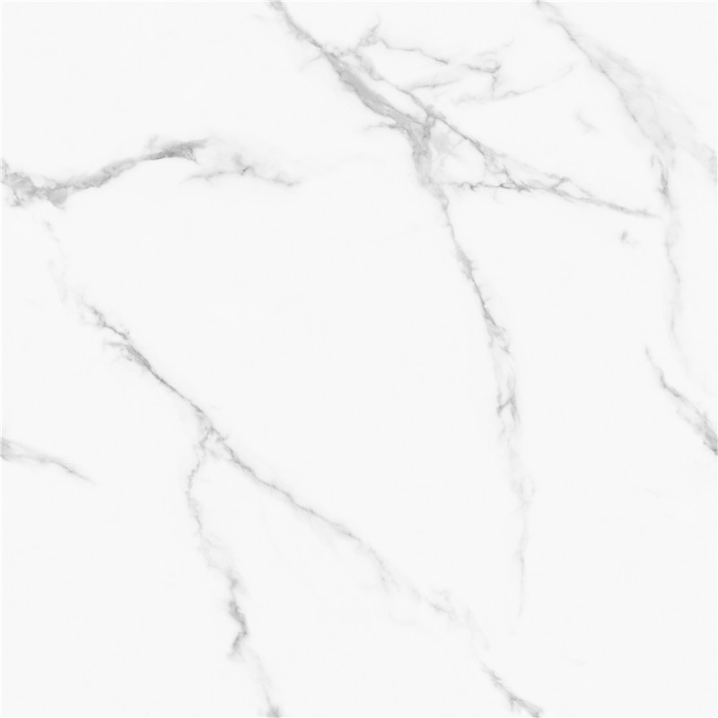 J-GT8611-顶级鱼肚白