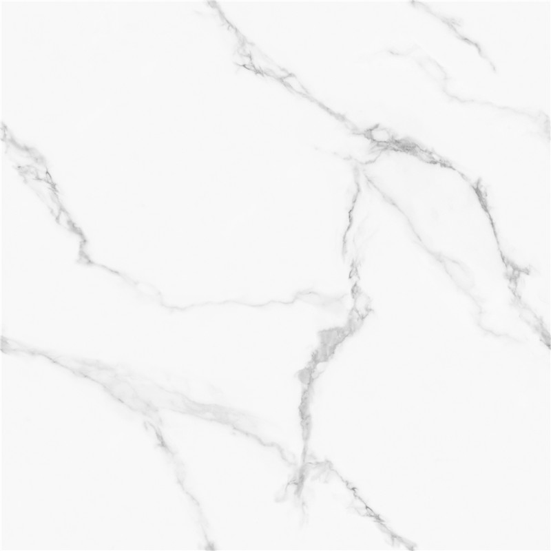 J-GT8611-顶级鱼肚白