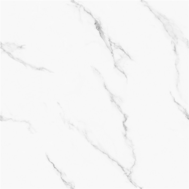 J-GT8611-顶级鱼肚白