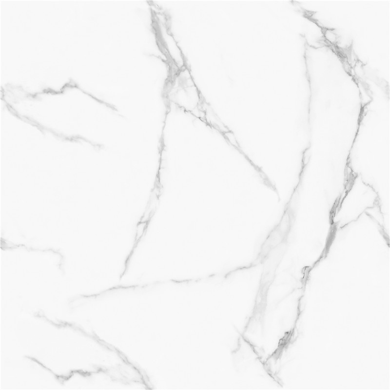 J-GT8611-顶级鱼肚白