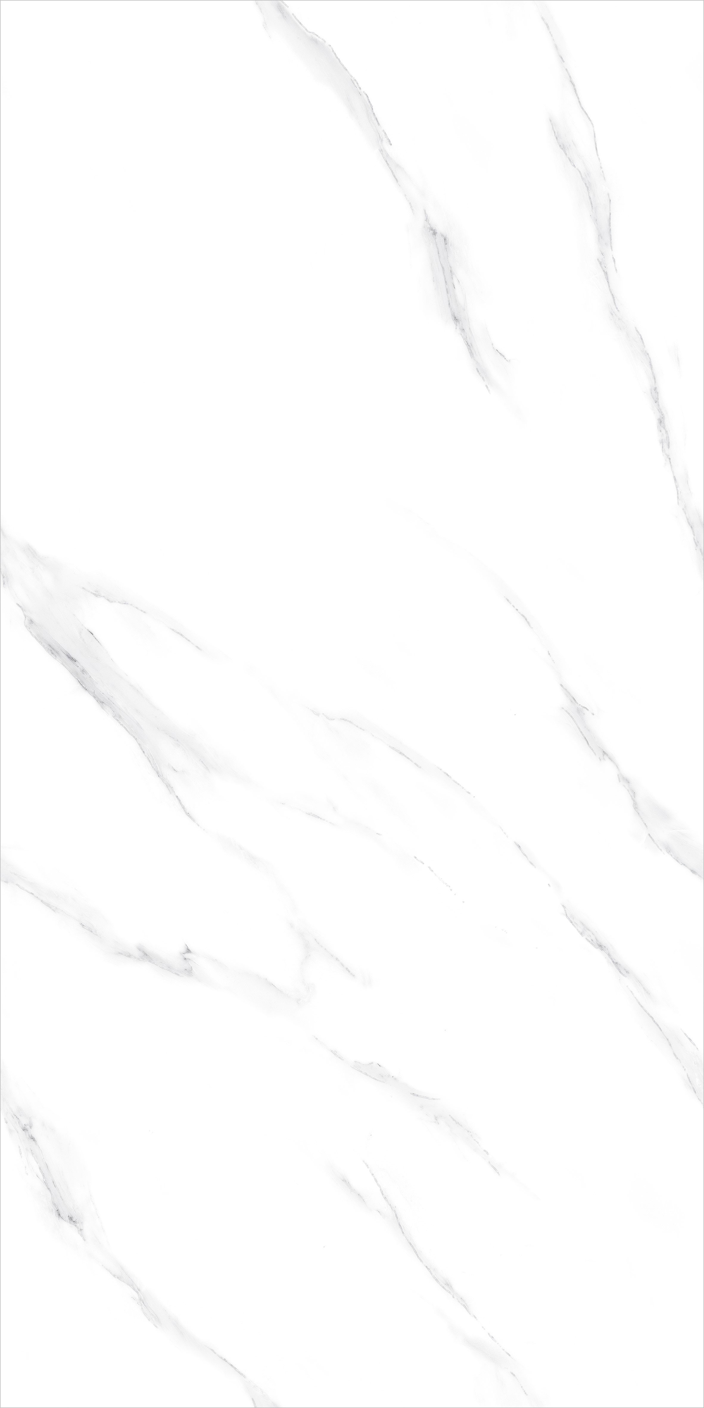 JZ715000A 俄罗斯银