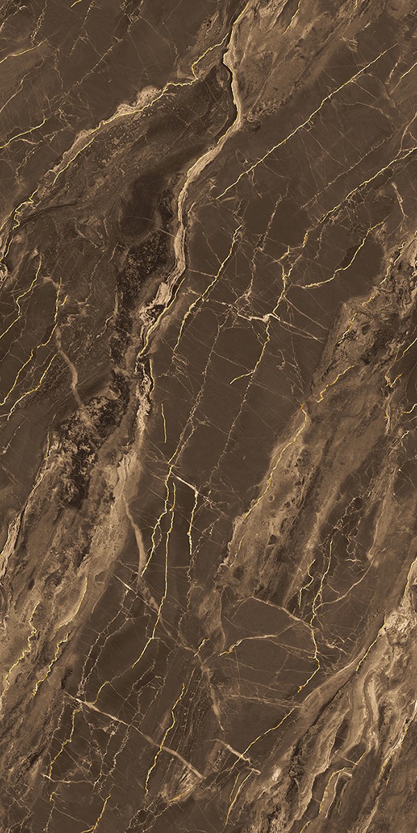 999k91806B-南非金