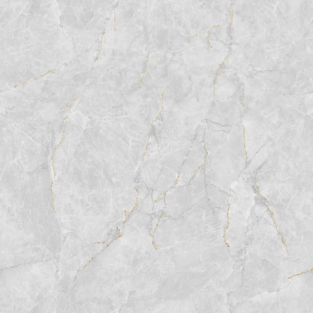 JL88832K二龙腾飞 