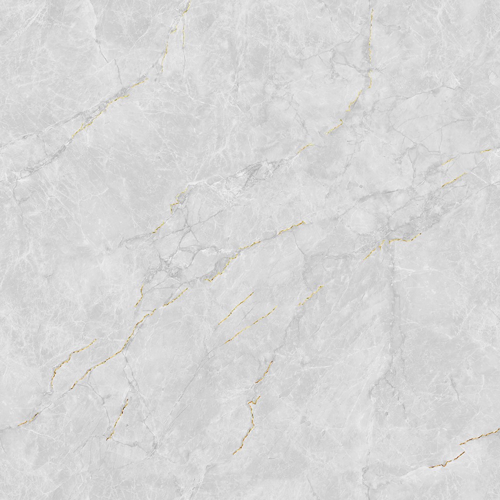 JL88832K二龙腾飞 