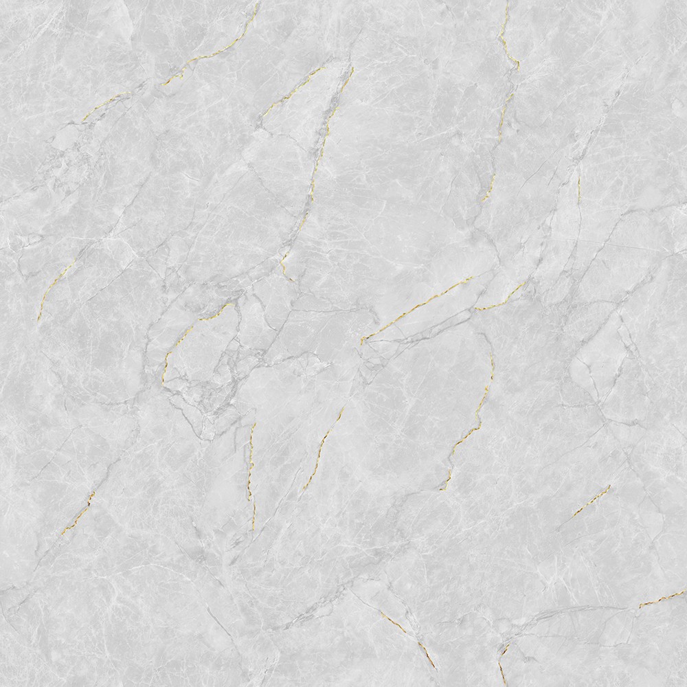 JL88832K二龙腾飞 