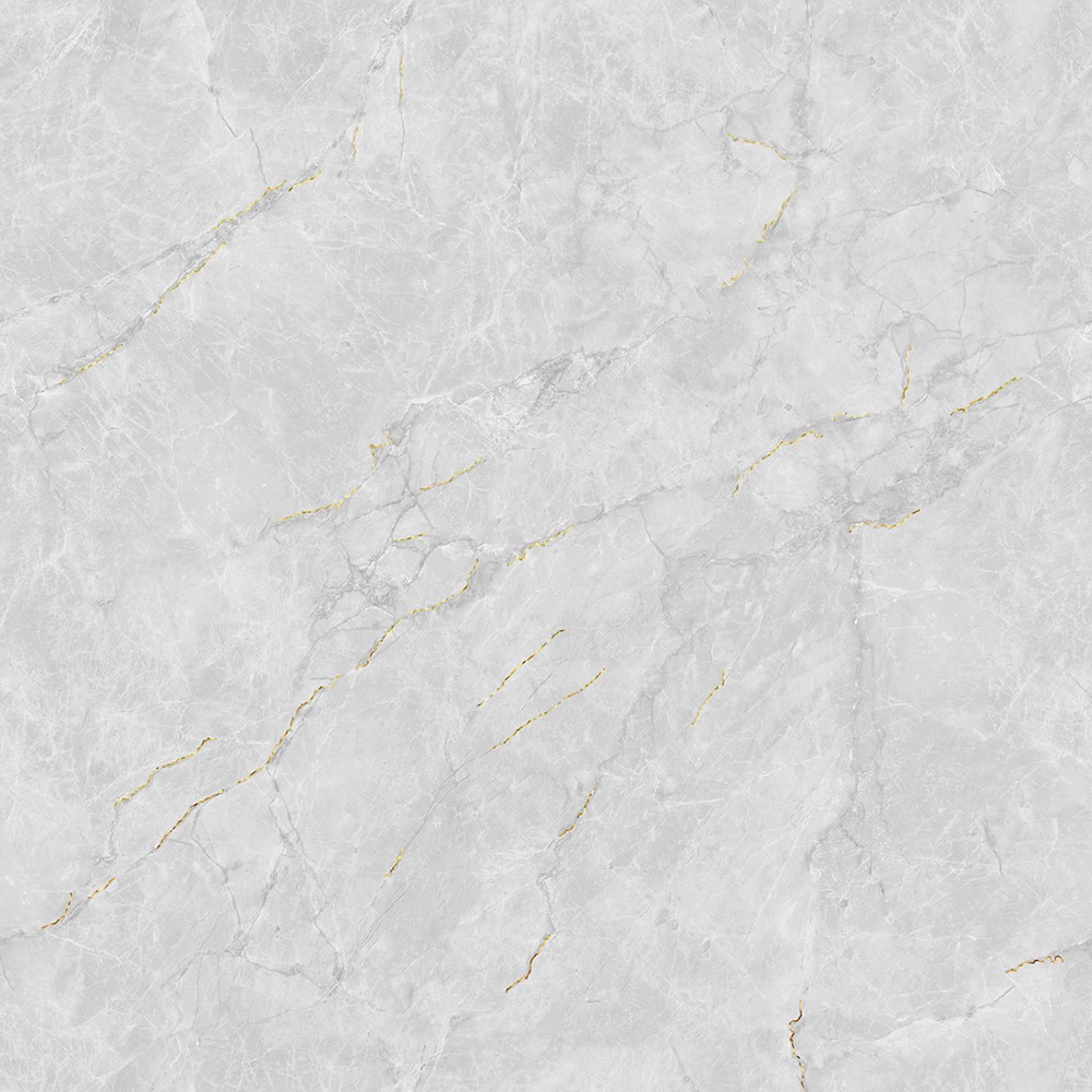 JL88832K二龙腾飞 