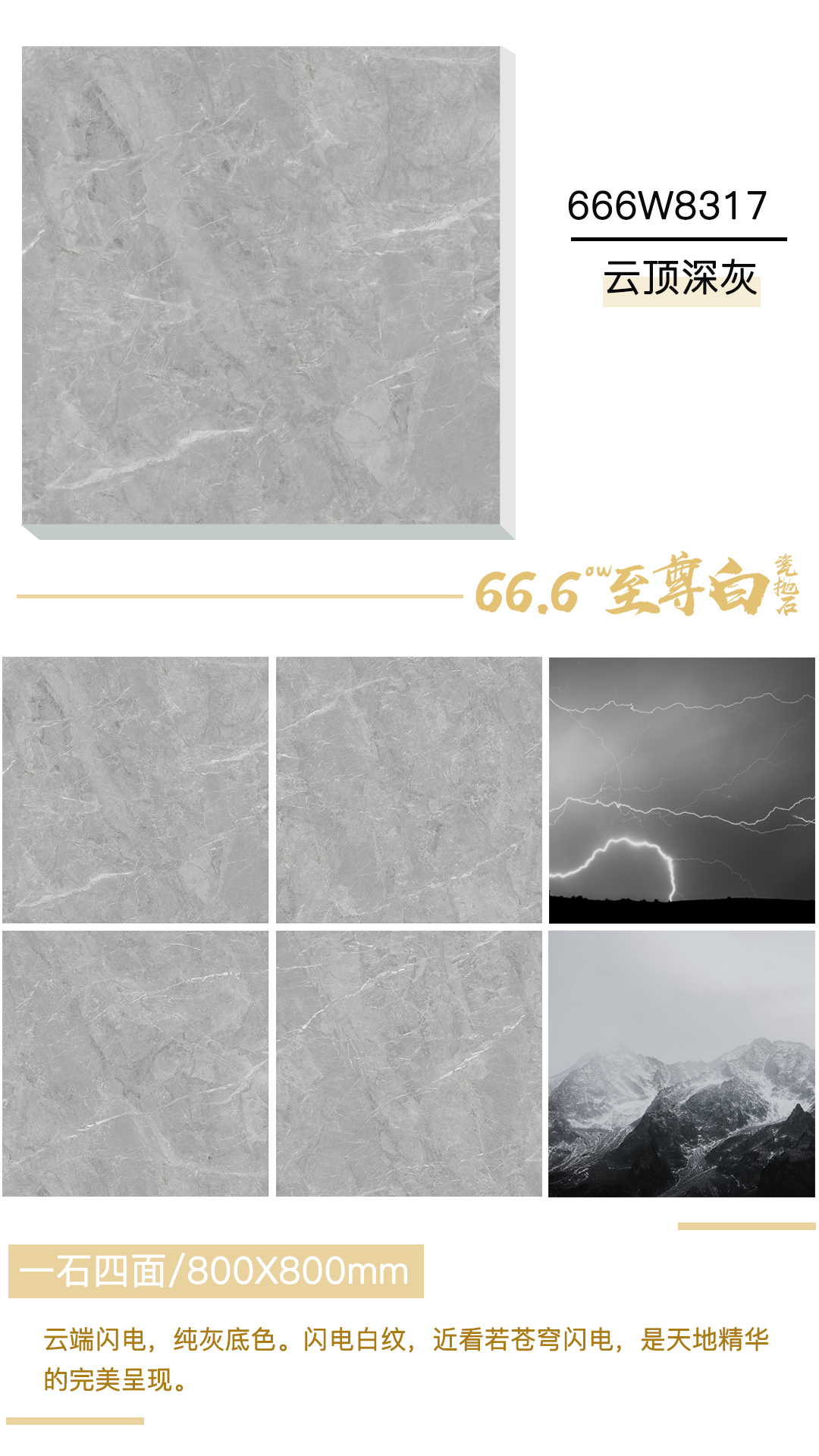 666W8317 云顶深灰.jpg