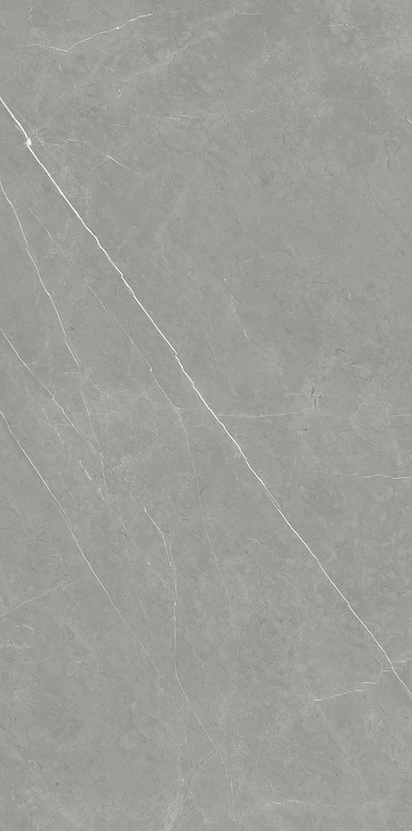 XD126709-拉斐尔灰