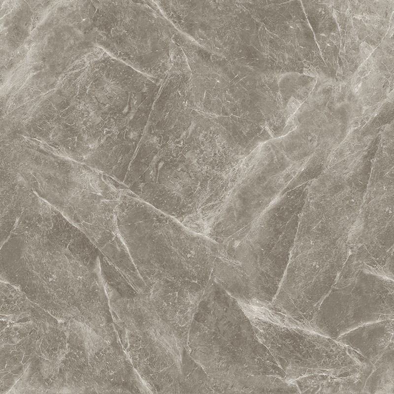 J-13CH807 欧米茄灰