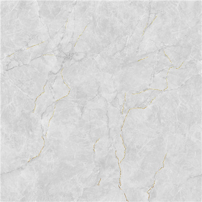 JL88832K二龙腾飞 