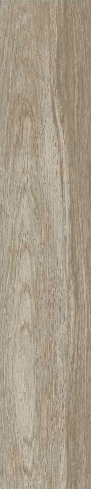 JMT1204-芬兰赤松