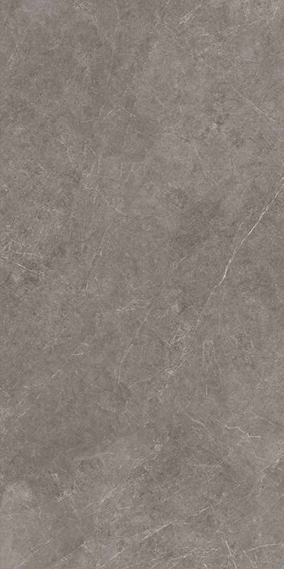 NS715816明珠灰黄