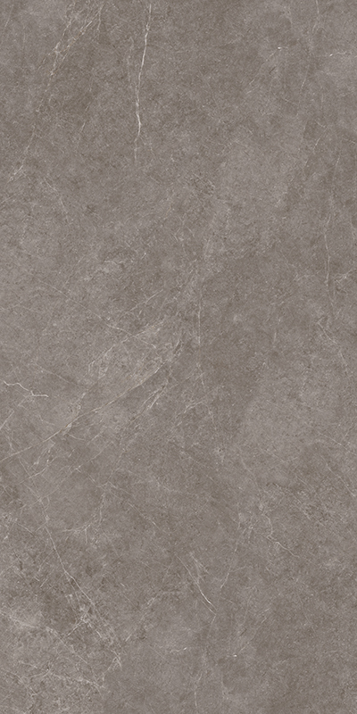 NS715816明珠灰黄