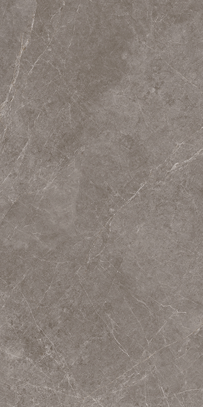 NS715816明珠灰黄