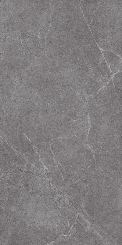 NS715813文莱深灰