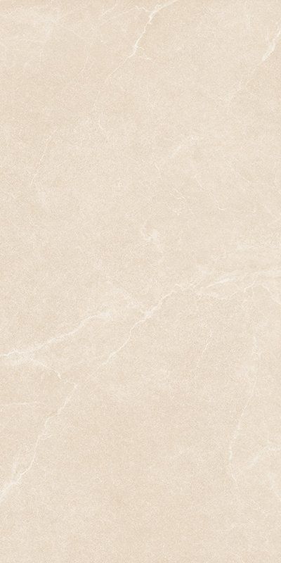 NS715811文莱米黄