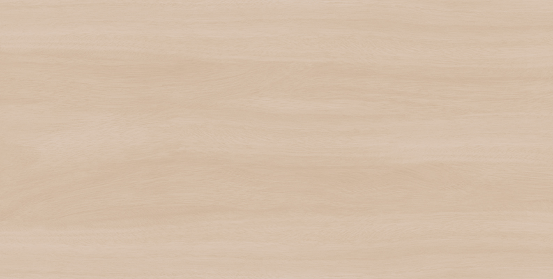 WS126210 楠木浅杏