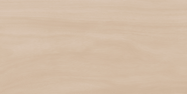 WS126210 楠木浅杏