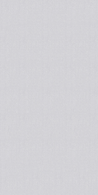 WS126205 凯莉中灰