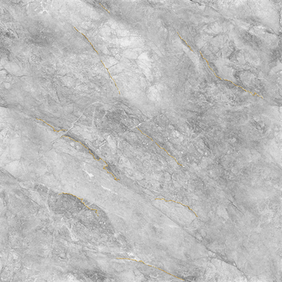 J-999K017-宝柏丽金