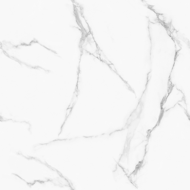 GT8611-顶级鱼肚白