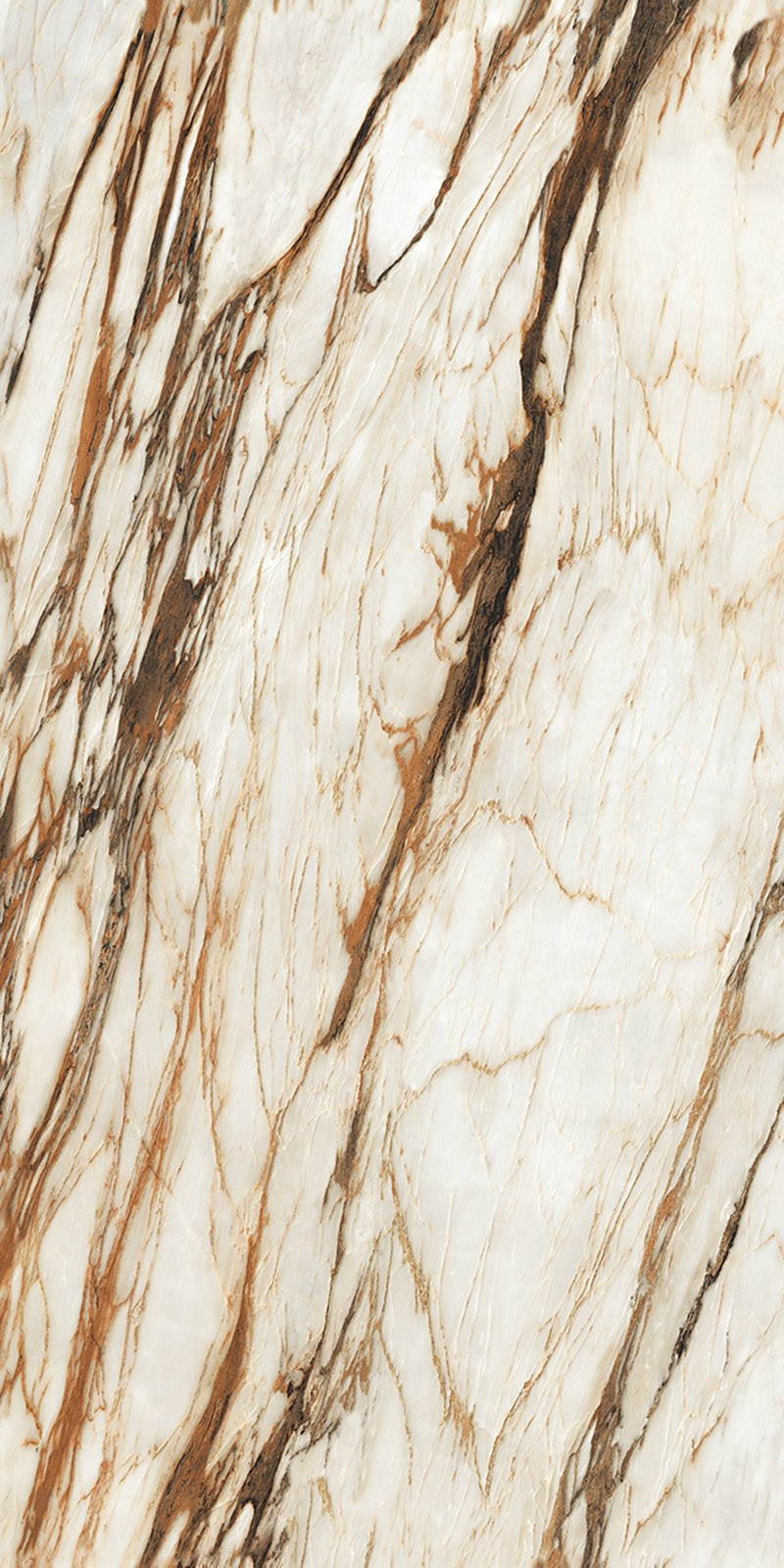 ABK918032C-土耳其鱼肚金