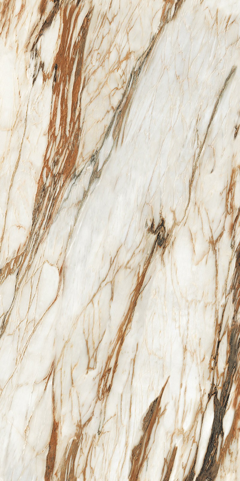 ABK918032C-土耳其鱼肚金