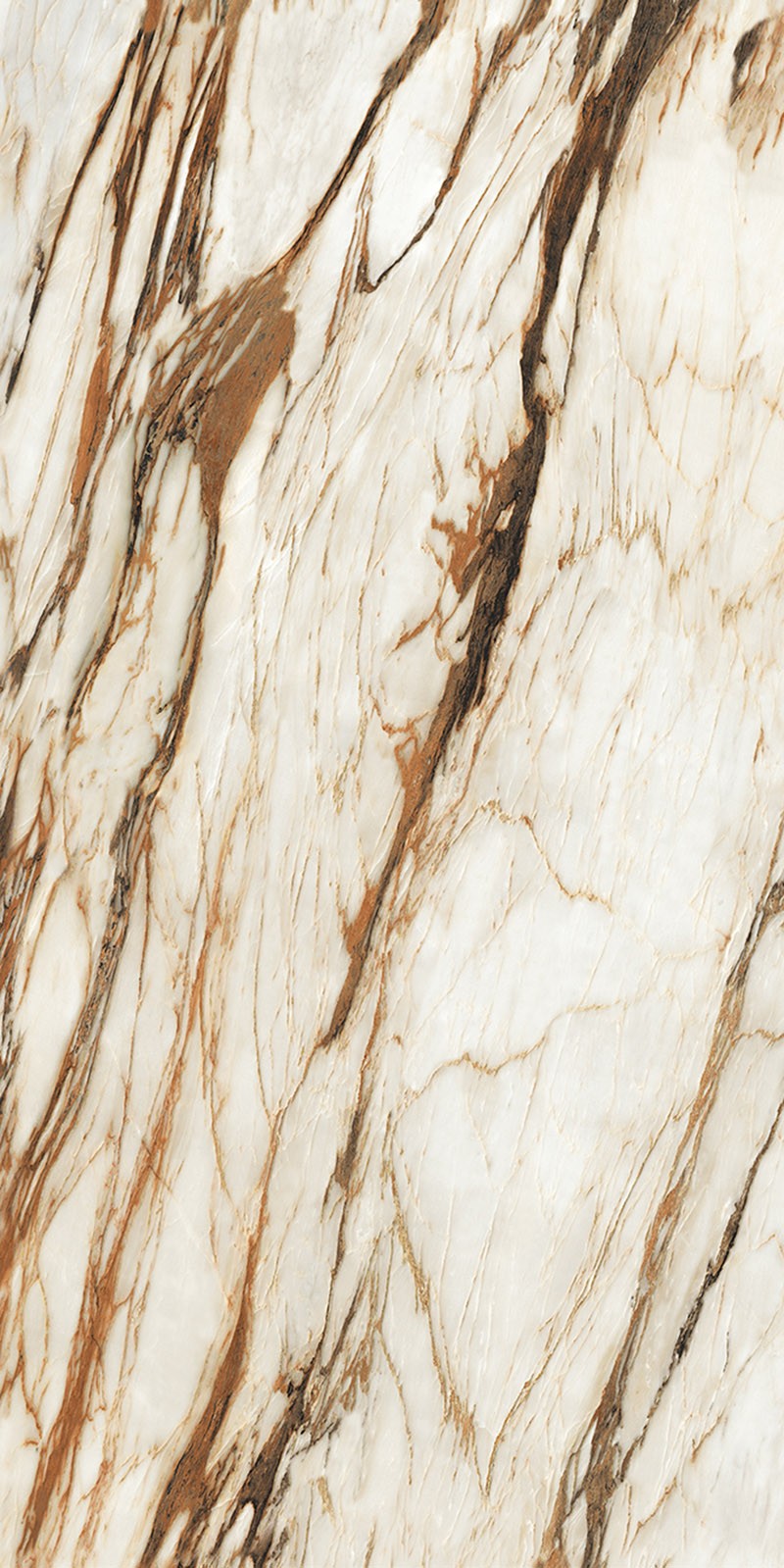 ABK918032C-土耳其鱼肚金