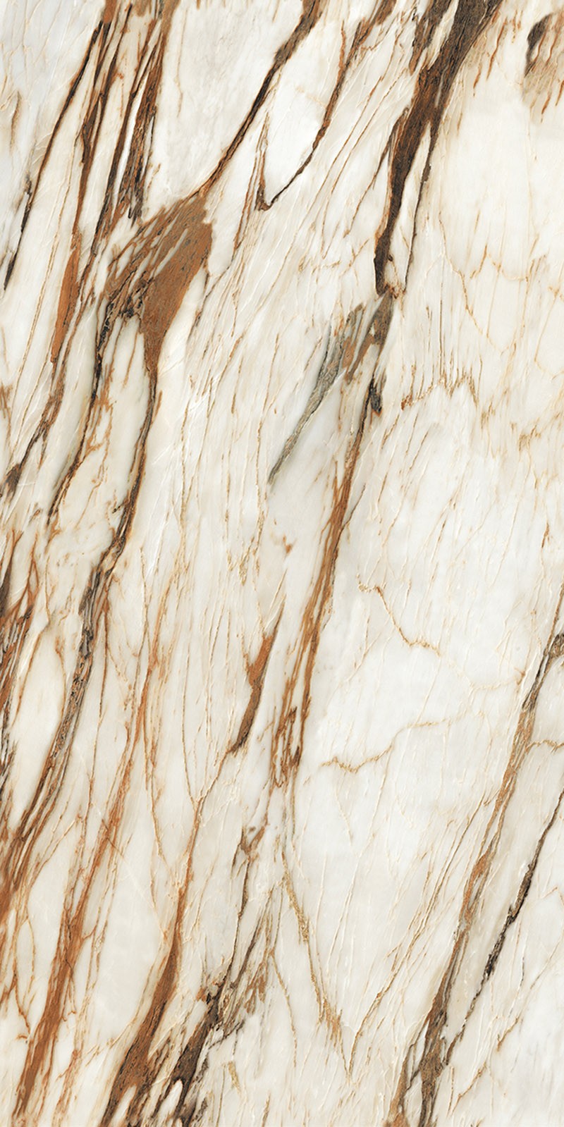 ABK918032C-土耳其鱼肚金