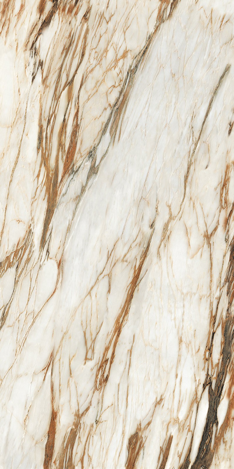 ABK918032C-土耳其鱼肚金